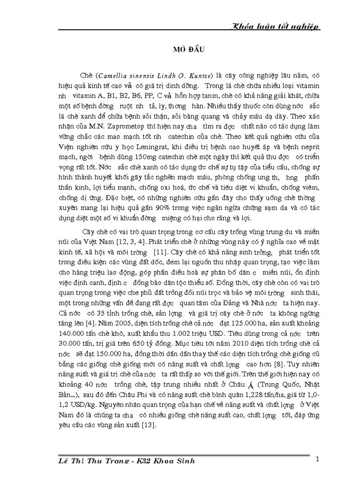 image for page Nghiên cứu đa dạng di truyền các giống/ dòng chè thu thập ở Việt Nam