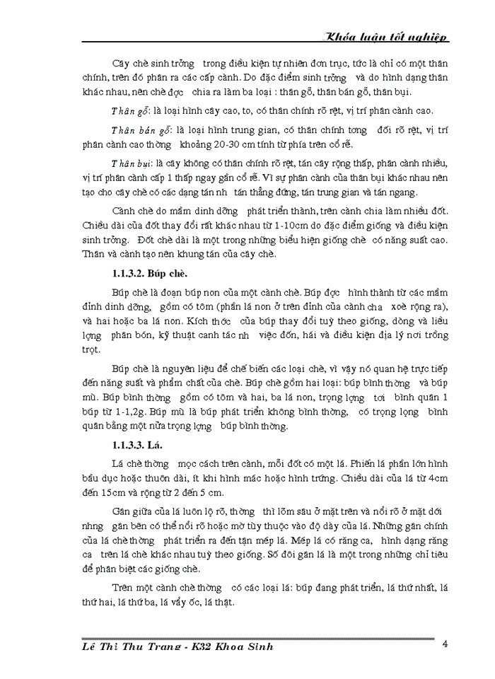 image for page Nghiên cứu đa dạng di truyền các giống/ dòng chè thu thập ở Việt Nam