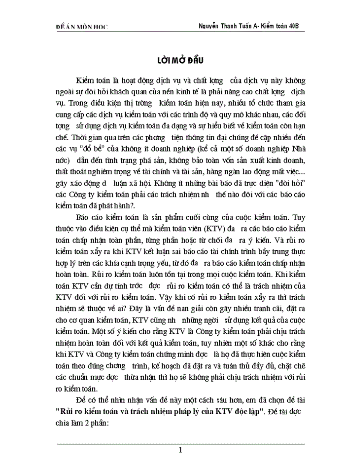 image for page Rủi ro kiểm toán và trách nhiệm pháp lý của KTV độc lập