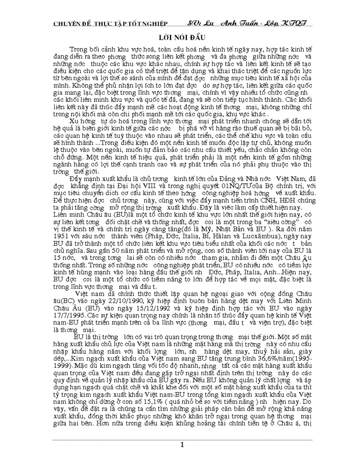 image for page Tự do hoá trong eu và khả năng thâm nhập thị trường eu của hàng hoá việt nam