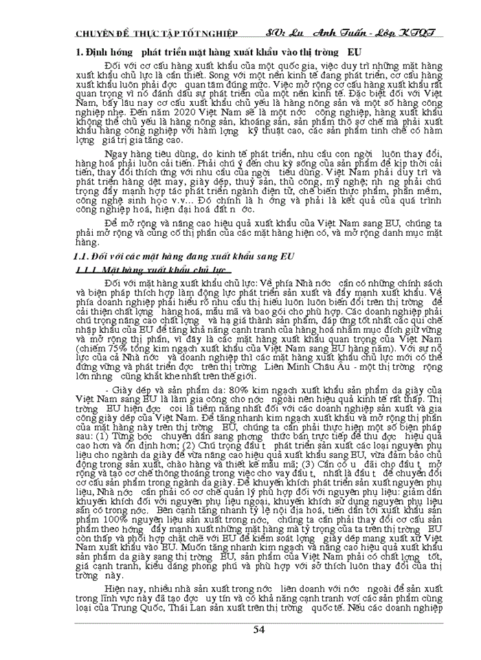 image for page Tự do hoá trong eu và khả năng thâm nhập thị trường eu của hàng hoá việt nam