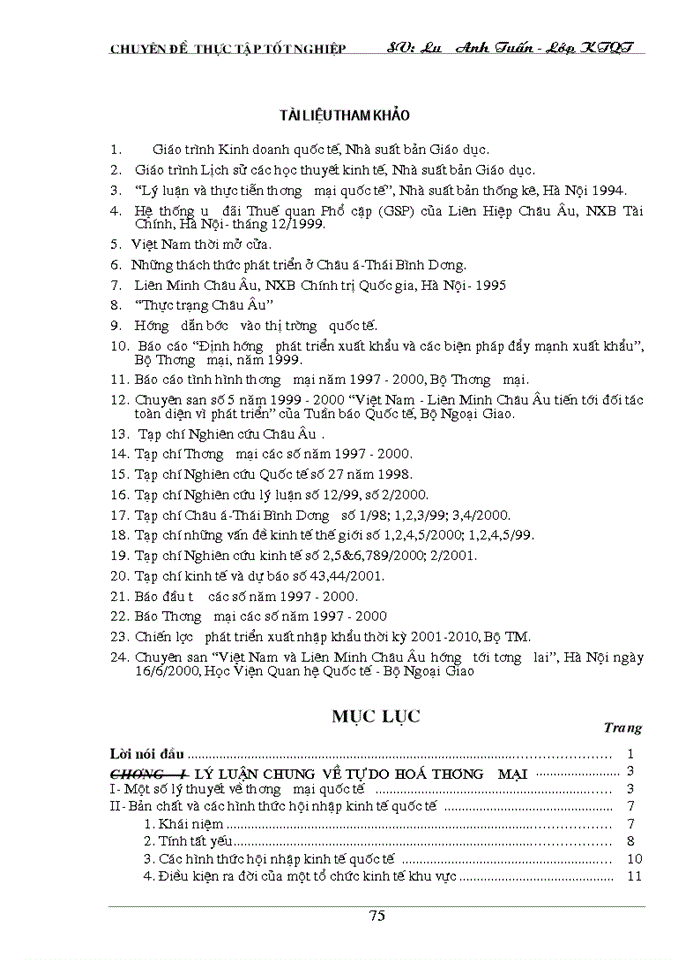 image for page Tự do hoá trong eu và khả năng thâm nhập thị trường eu của hàng hoá việt nam