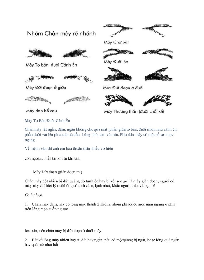 image for page Đời ngƣời Đàn Ông Qua Tƣớng Học Và Quan Niệm Dân Gian