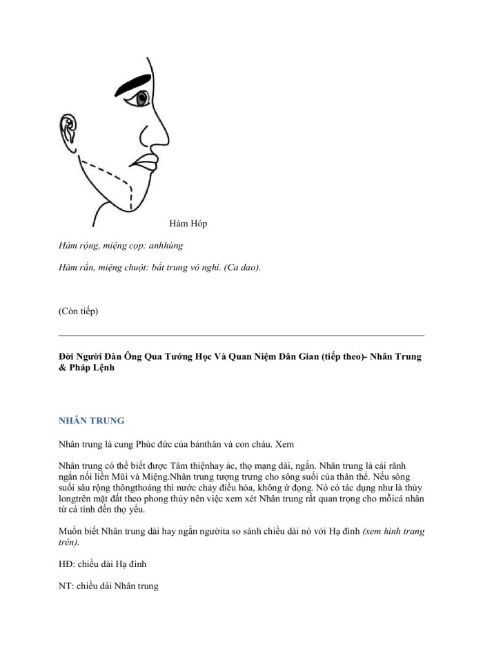 image for page Đời ngƣời Đàn Ông Qua Tƣớng Học Và Quan Niệm Dân Gian