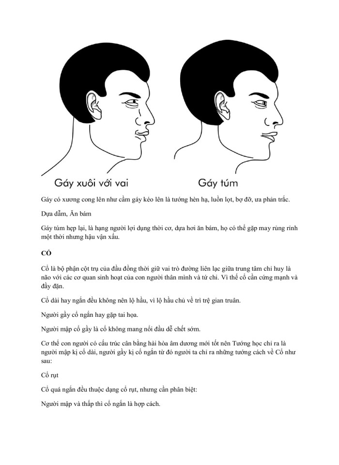 image for page Đời ngƣời Đàn Ông Qua Tƣớng Học Và Quan Niệm Dân Gian