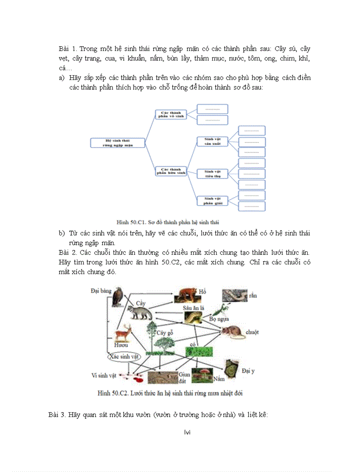 image for page Phương pháp, kỹ thuật, phương tiện, hình thức tổ chức dạy học
