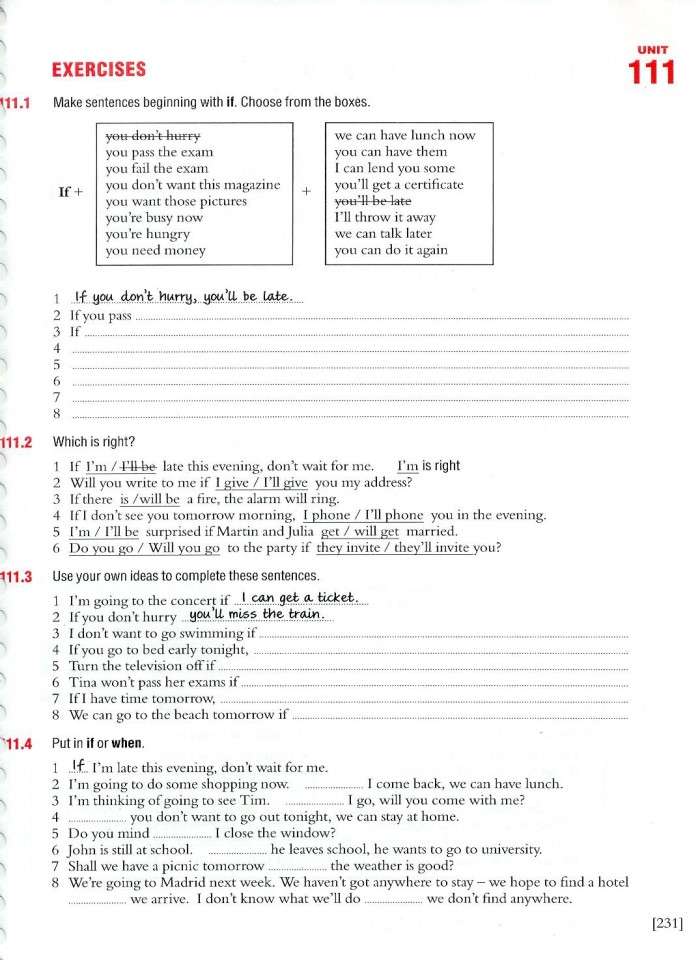 image for page Essential Grammar in use