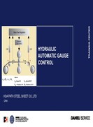 Hydraulic automatic gauge control