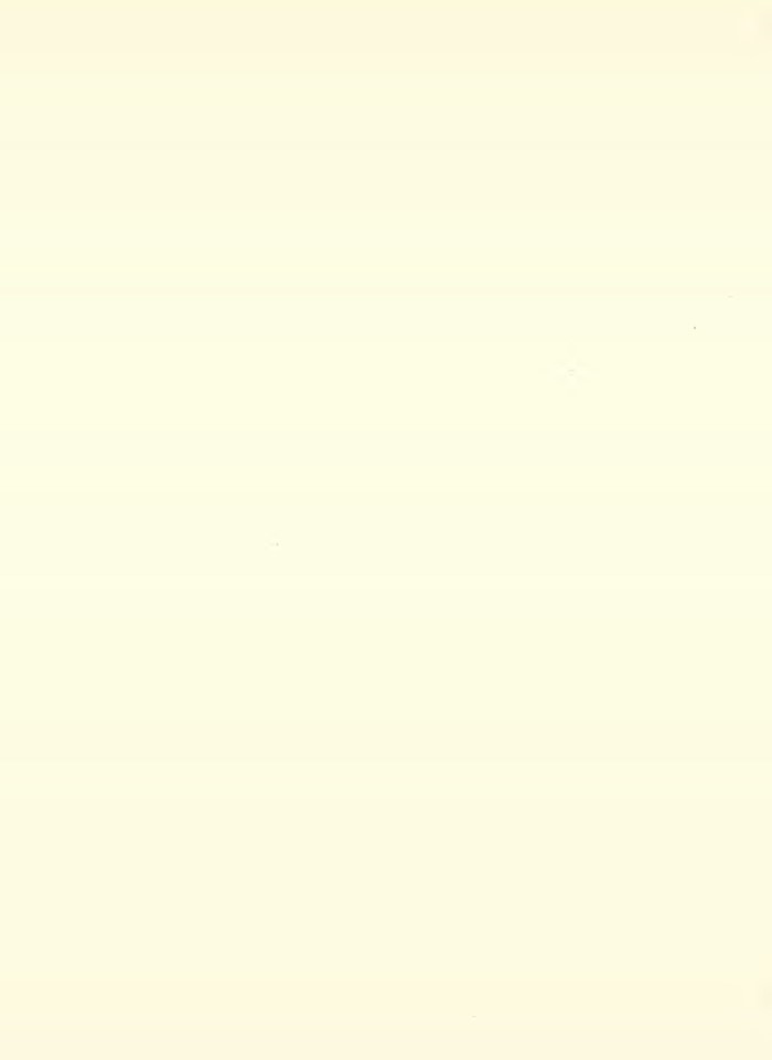 image for page Funamental aspects of dislocation theory