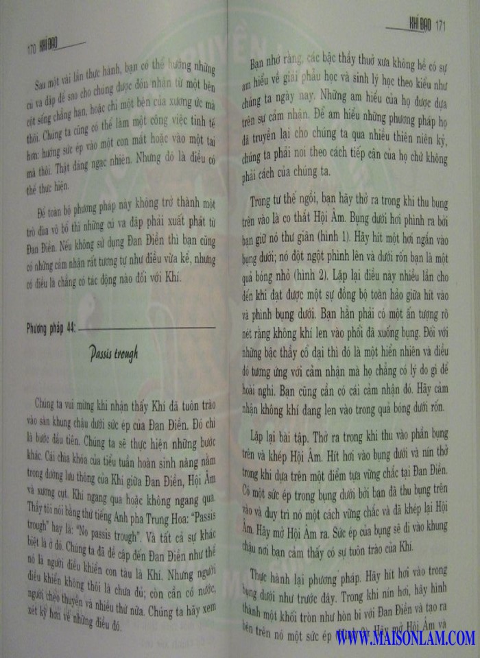 image for page Khí đạo