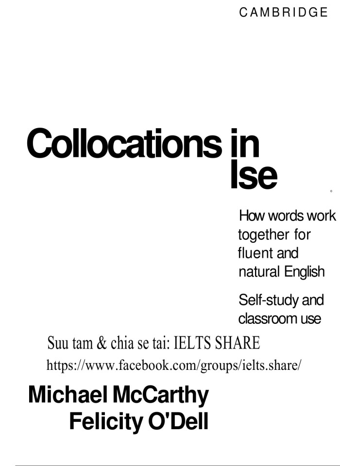 image for page English collocations in use intermediate