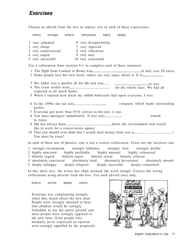 image for page English collocations in use intermediate