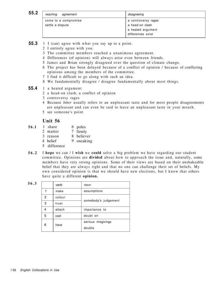 image for page English collocations in use intermediate
