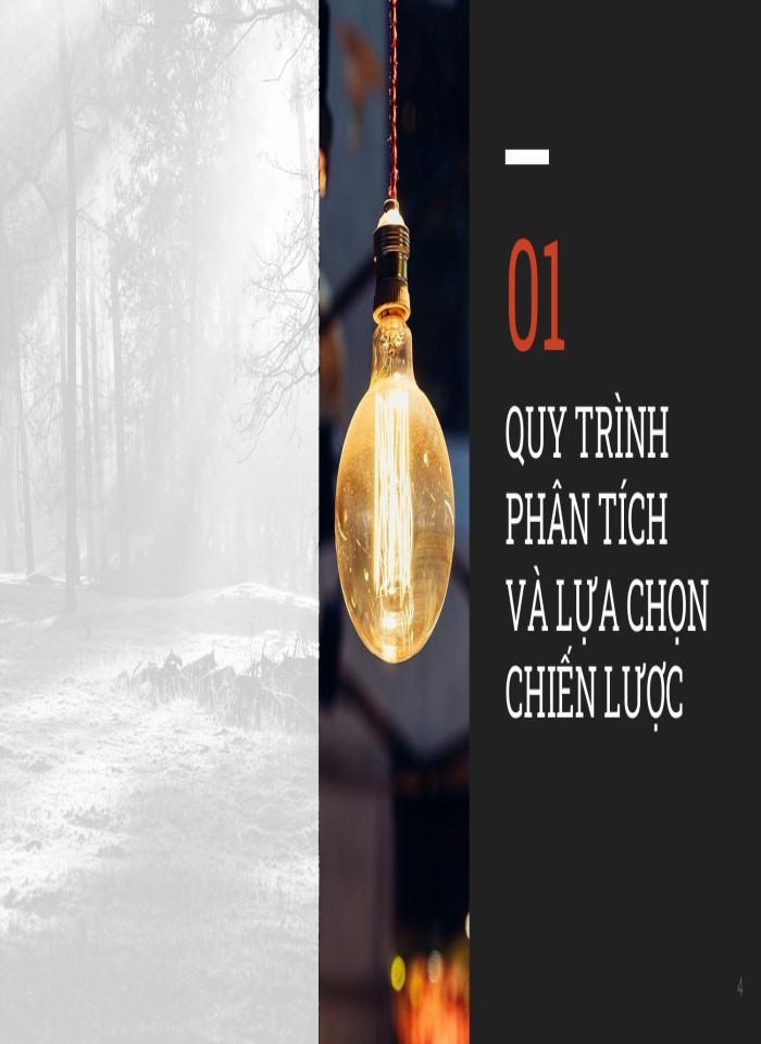 Quy trình phân tích và lựa chọn một chiến lược chính chiến lược kinh doanh