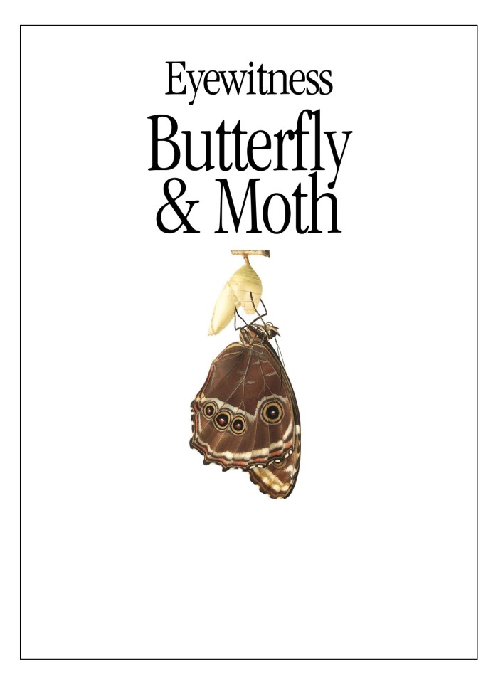 image for page Sách về Bướm và bướm đêm