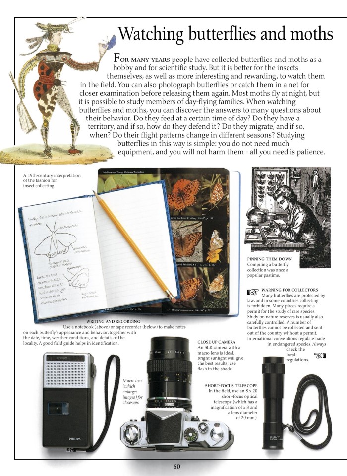 image for page Sách về Bướm và bướm đêm