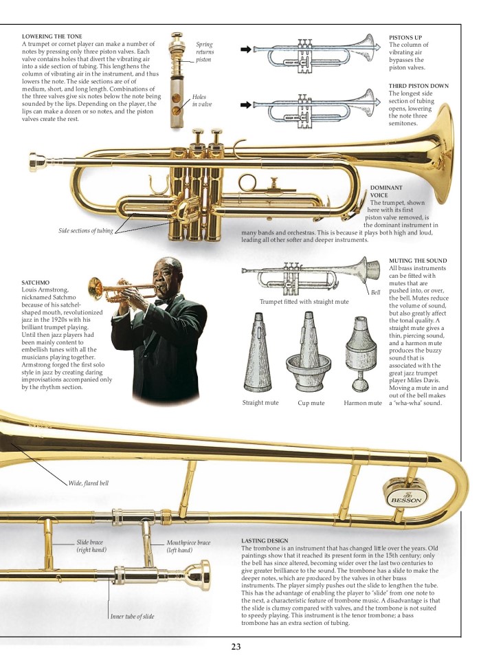 image for page Âm nhạc