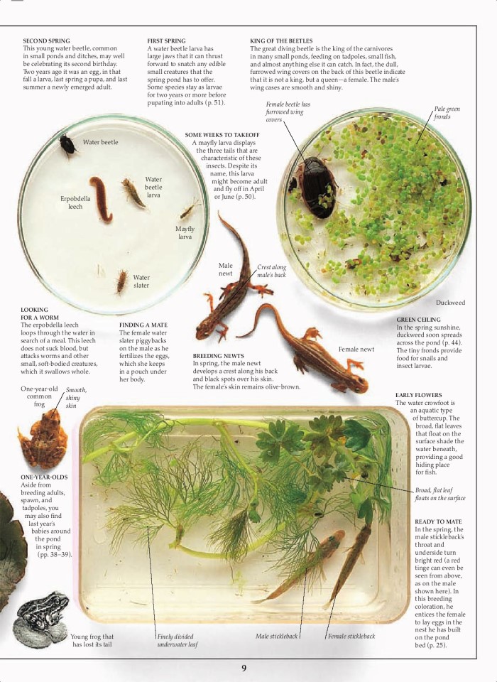 image for page Hệ sinh thái ao và sông hồ