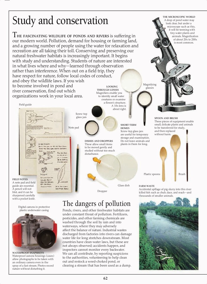 image for page Hệ sinh thái ao và sông hồ