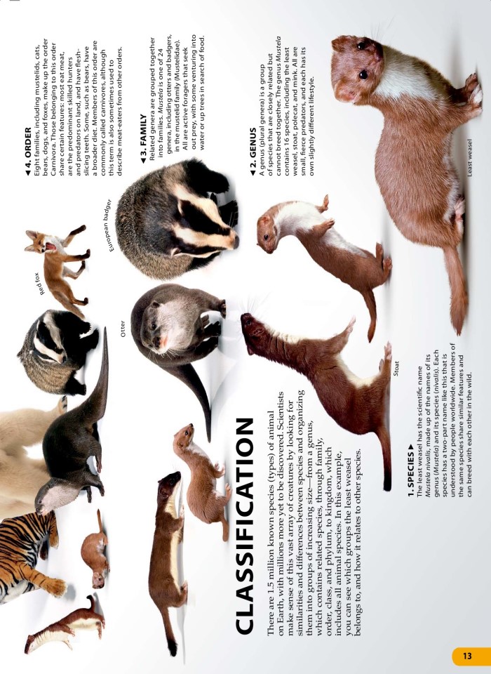 image for page Một triệu điều cuộc sống động vật