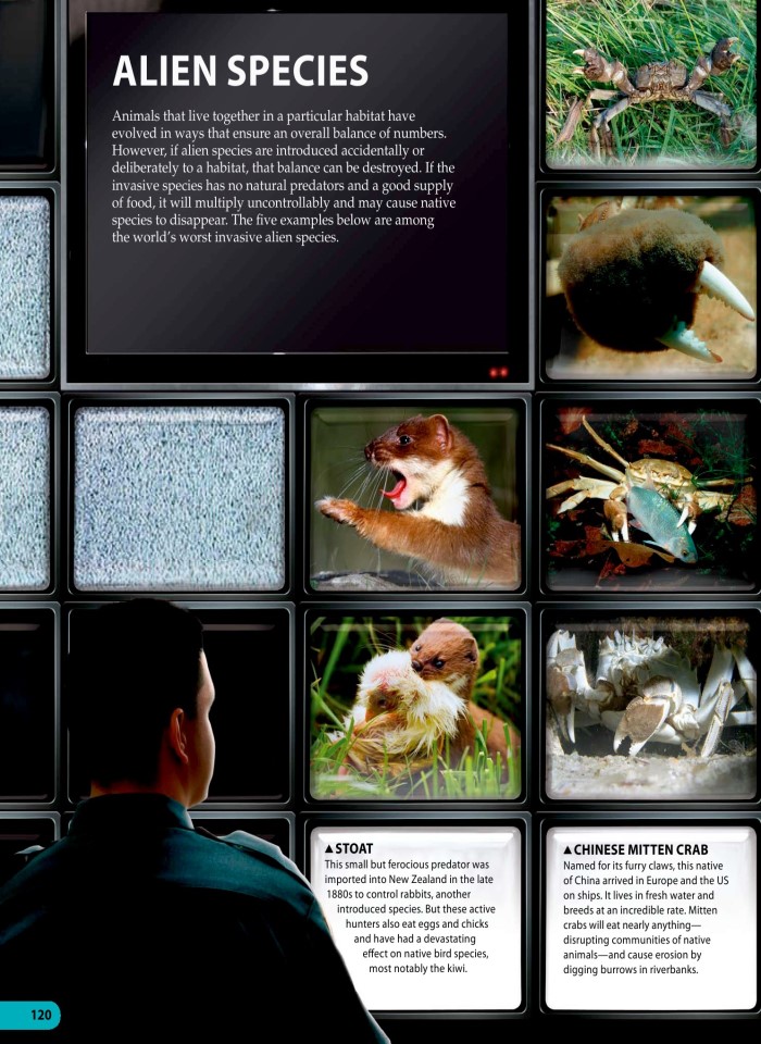 image for page Một triệu điều cuộc sống động vật