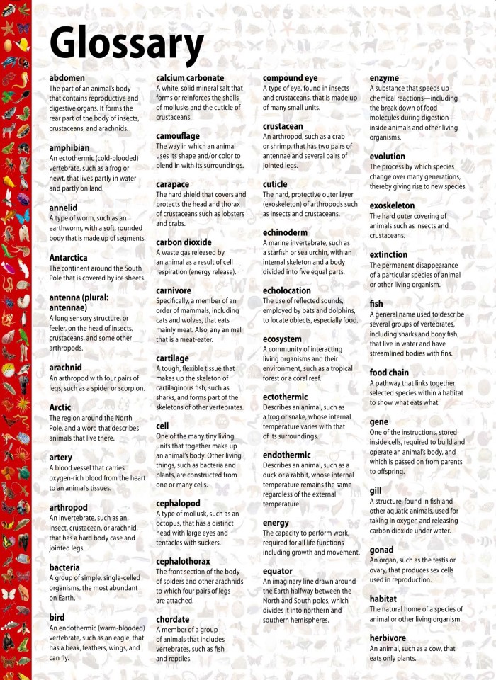 image for page Một triệu điều cuộc sống động vật