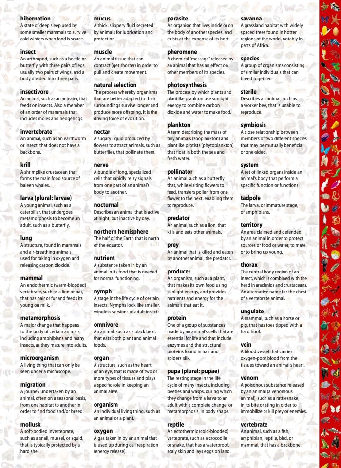 image for page Một triệu điều cuộc sống động vật