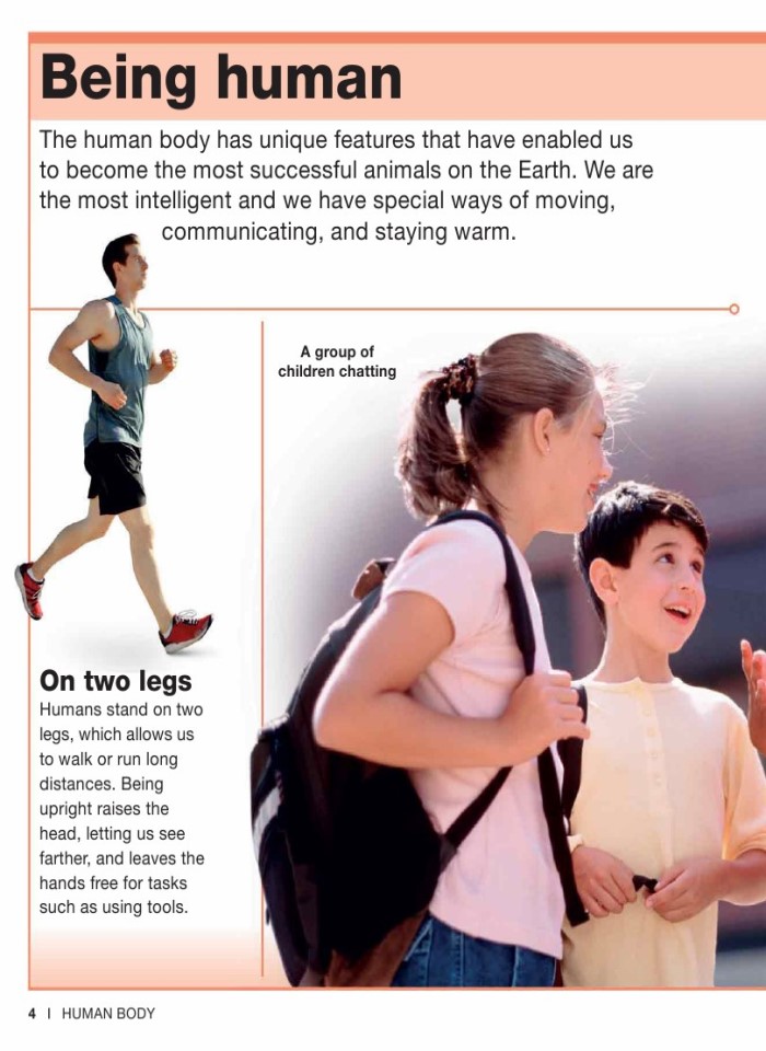 image for page Sự thật về cơ thể con người trong tầm tay bạn