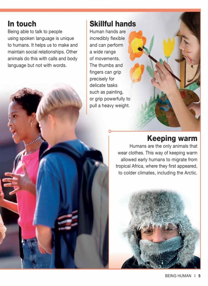 image for page Sự thật về cơ thể con người trong tầm tay bạn