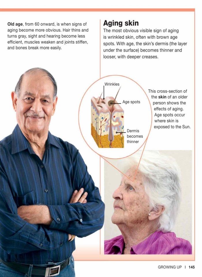 image for page Sự thật về cơ thể con người trong tầm tay bạn