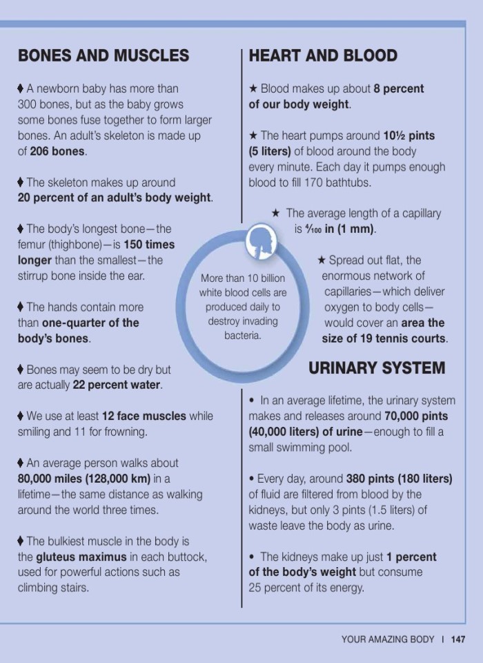 image for page Sự thật về cơ thể con người trong tầm tay bạn