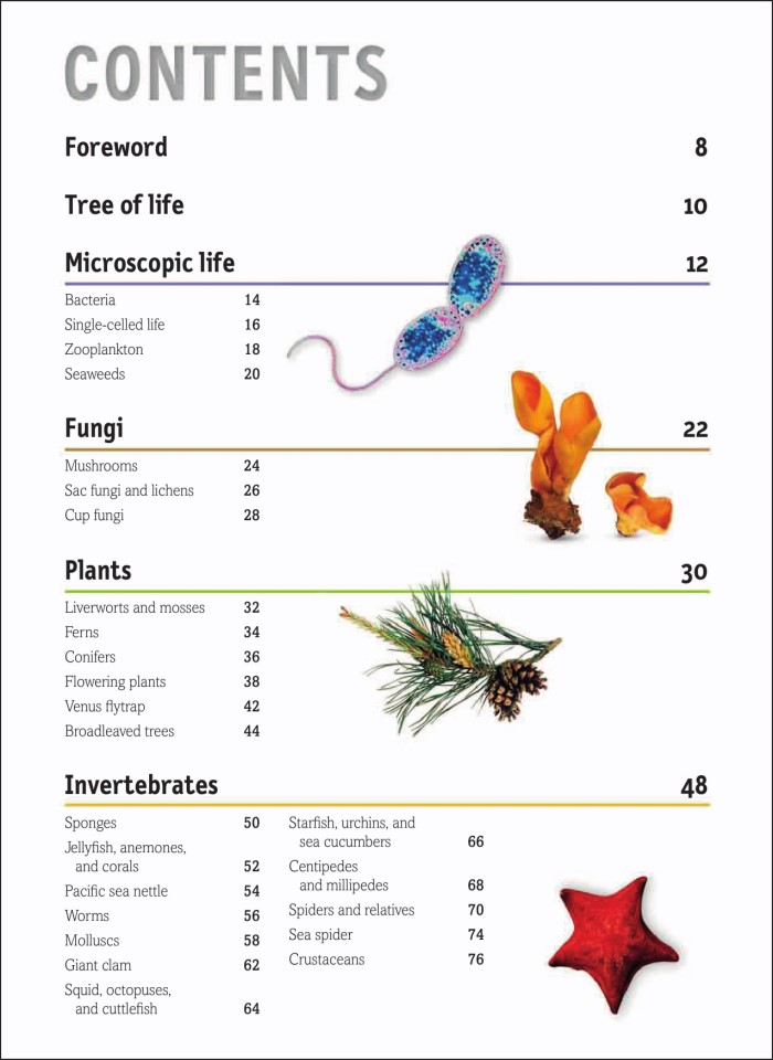 image for page Bách khoa toàn thư trực quan về sự sống trên Trái đất