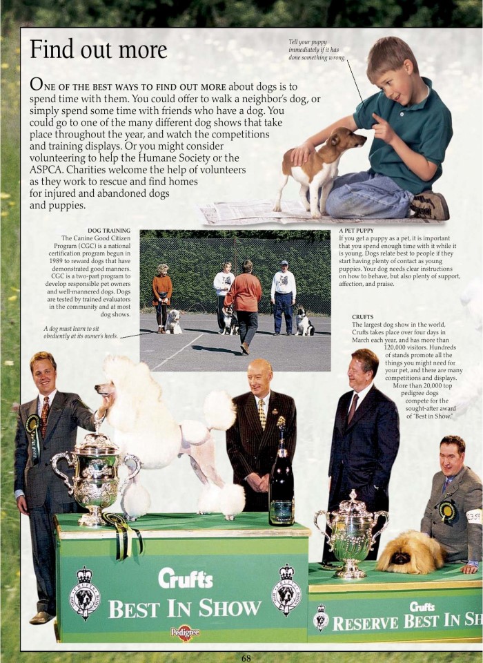 image for page Eyewitness Dog