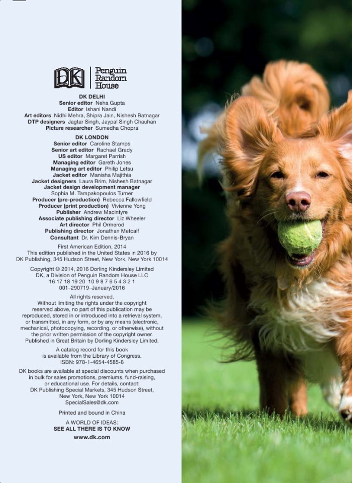 image for page Sự thật về loài chó trong tầm tay bạn