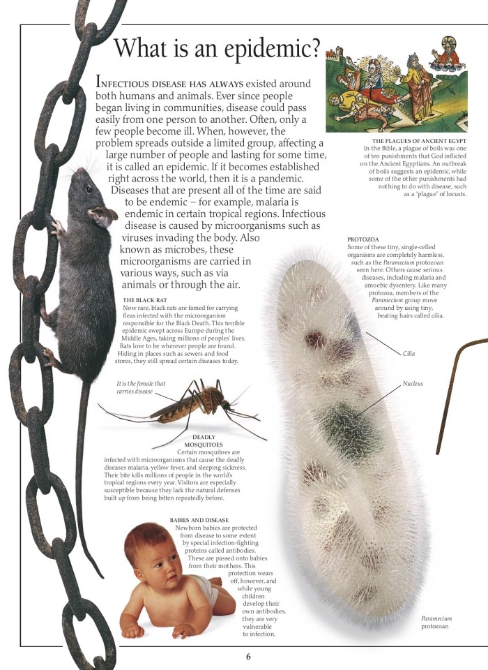 image for page Sách các bệnh dịch