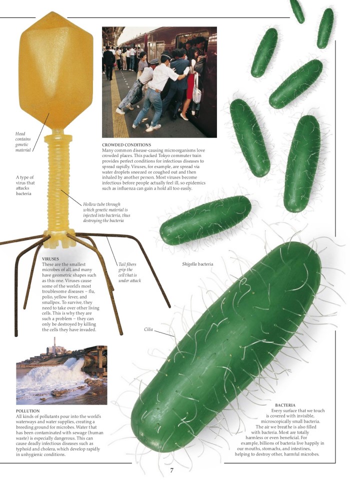 image for page Sách các bệnh dịch