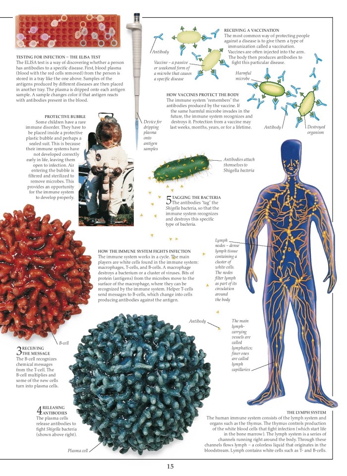 image for page Sách các bệnh dịch