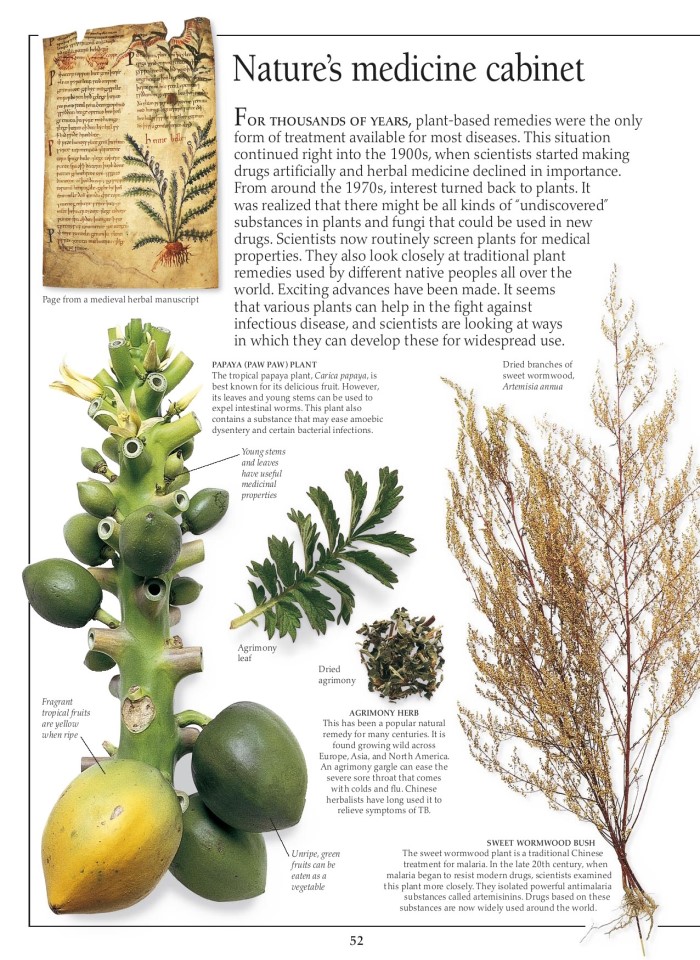 image for page Sách các bệnh dịch