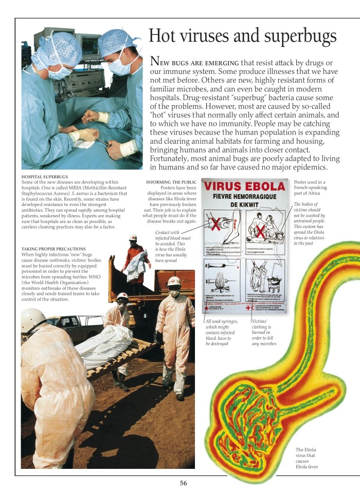 image for page Sách các bệnh dịch