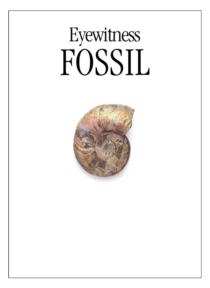 image for page Sách hóa thạch