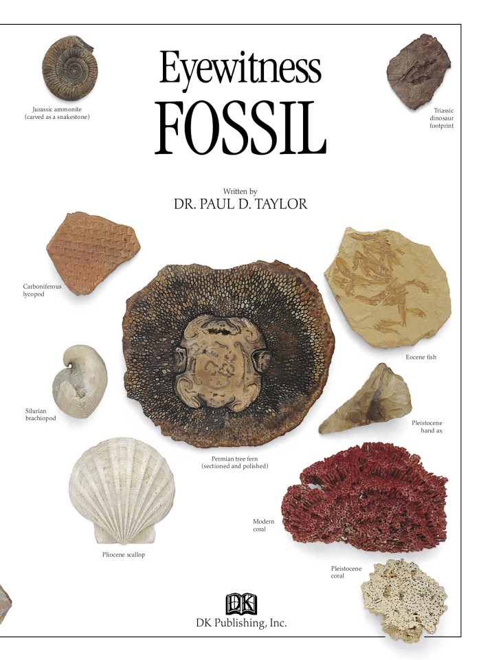 image for page Sách hóa thạch