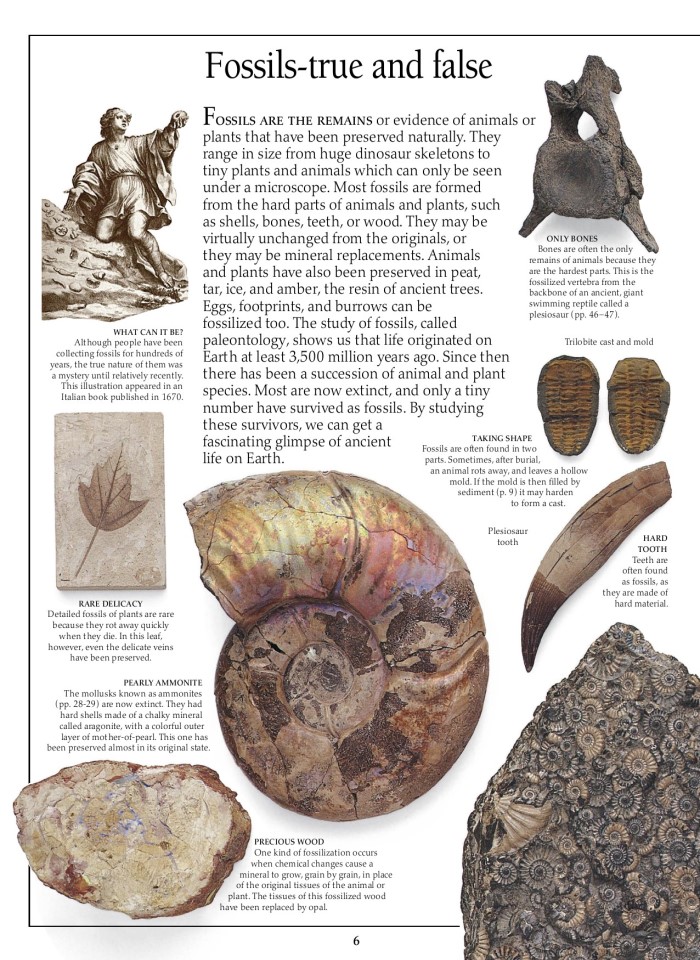 image for page Sách hóa thạch