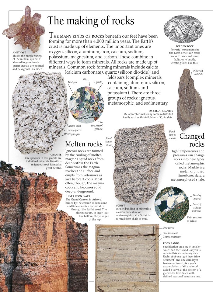 image for page Sách hóa thạch