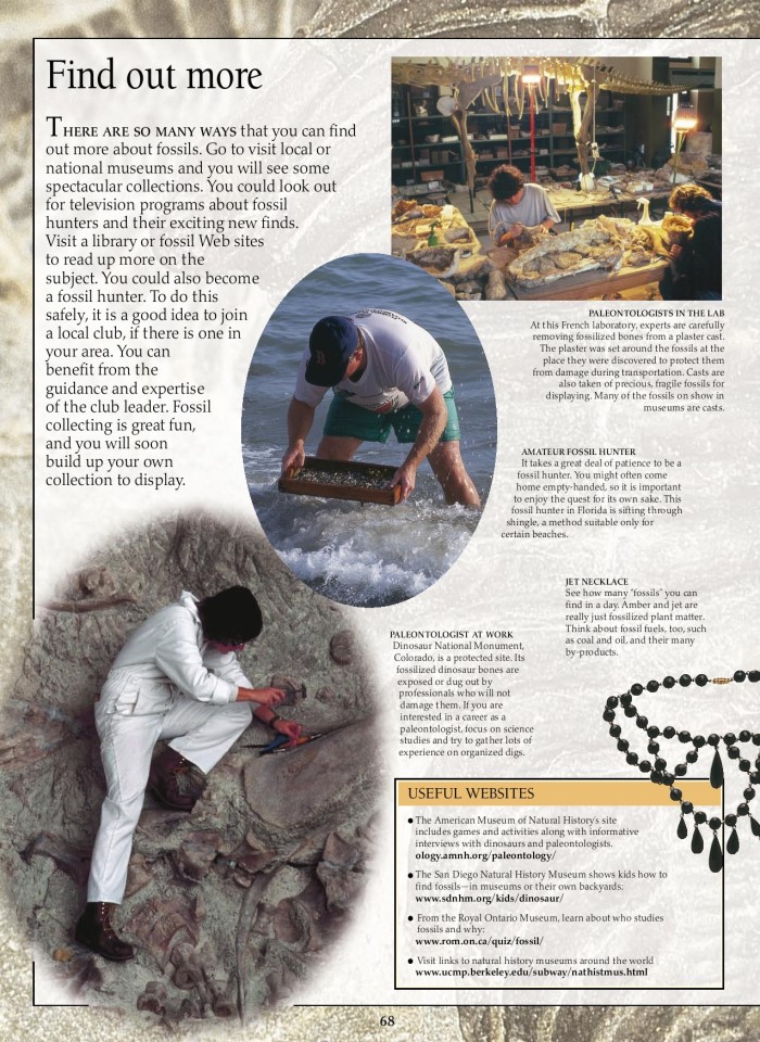 image for page Sách hóa thạch