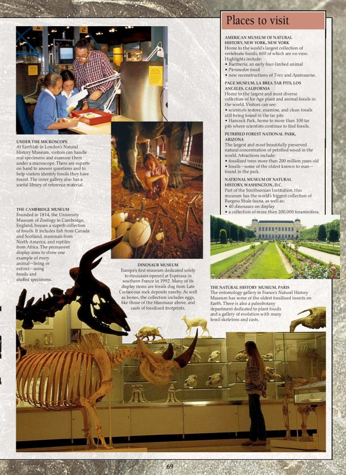 image for page Sách hóa thạch