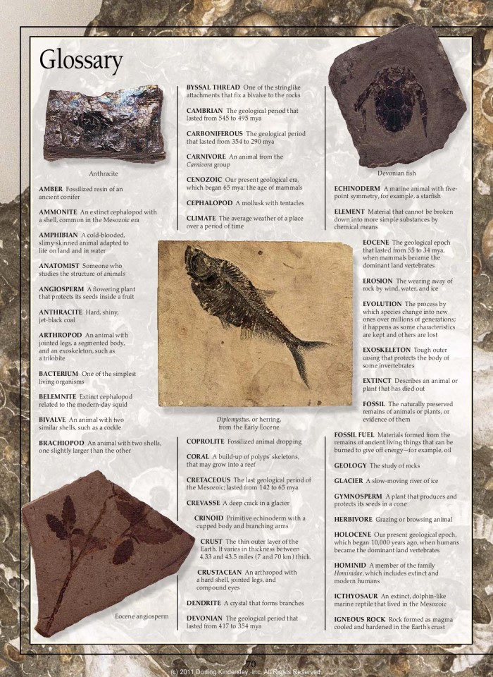 image for page Sách hóa thạch