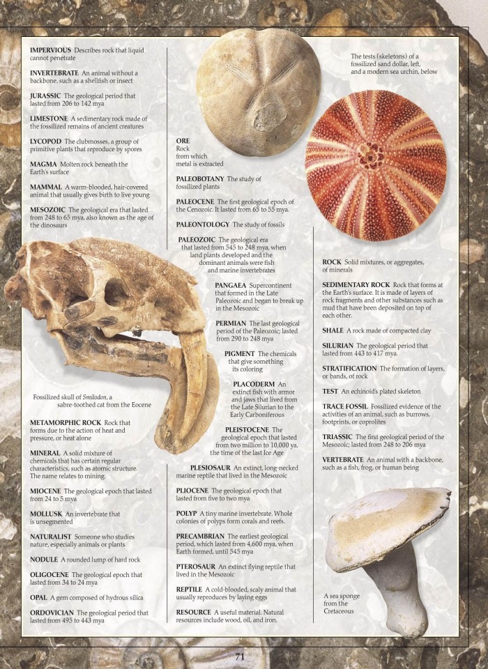 image for page Sách hóa thạch