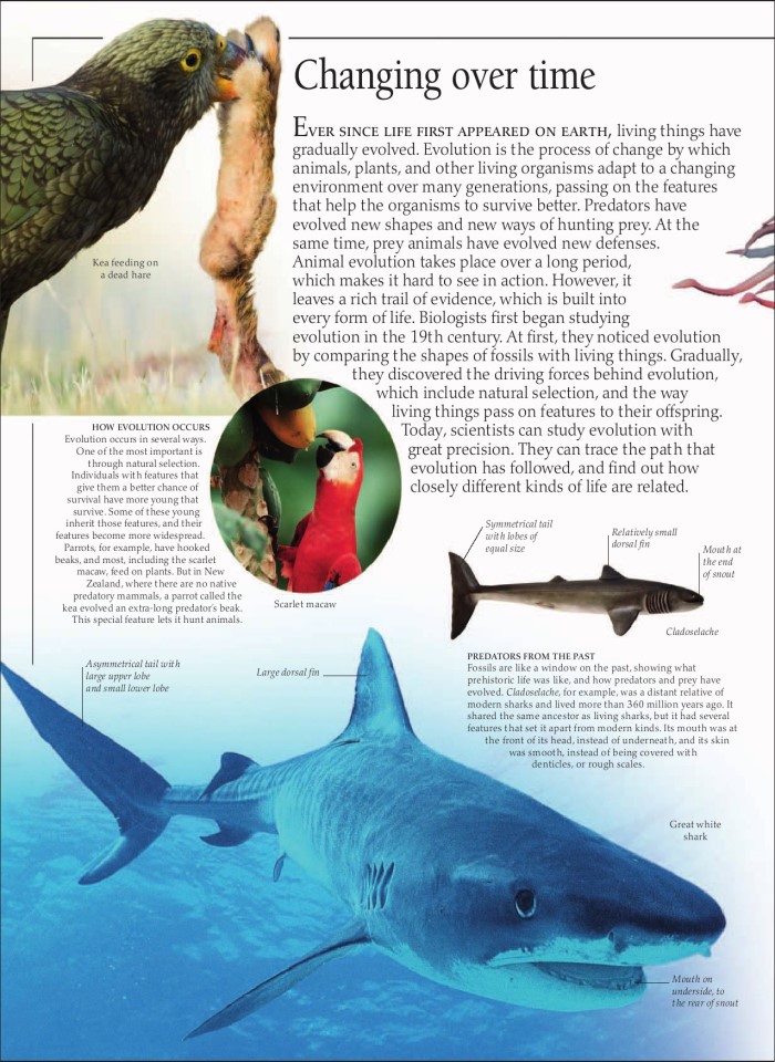 image for page Sách loài động vật ăn thịt