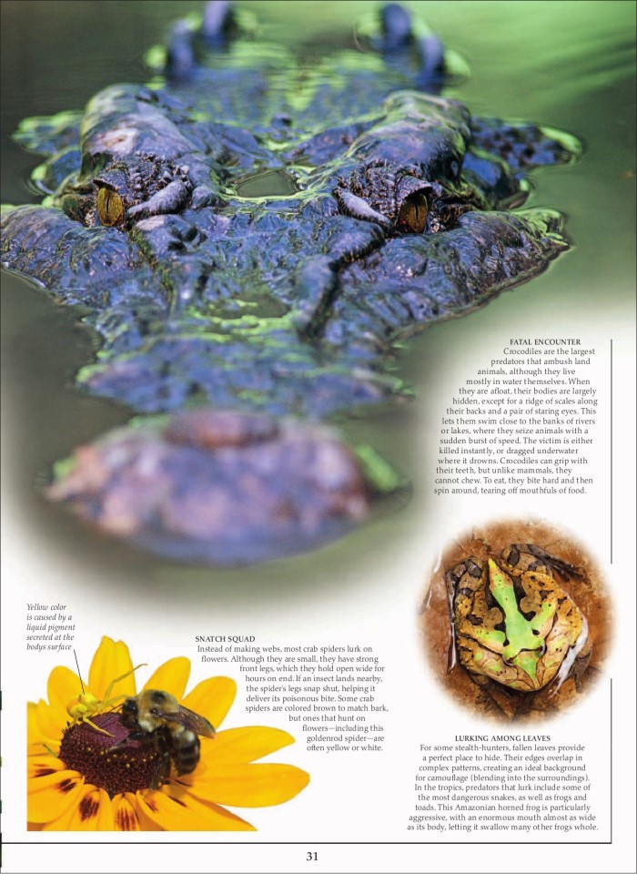 image for page Sách loài động vật ăn thịt