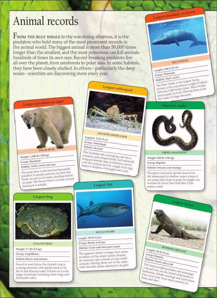 image for page Sách loài động vật ăn thịt